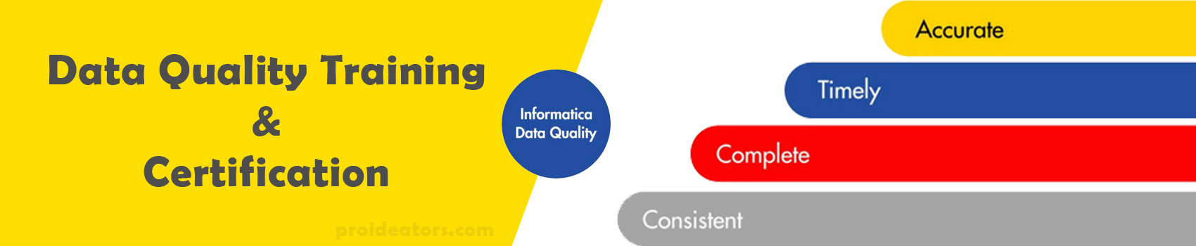 Informatica Data Quality Training and Certification
