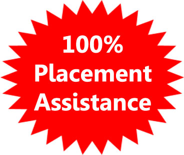 100% placement assistance Proideators