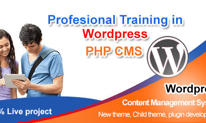 Wordpress training website development courses institute