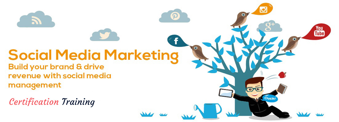 Social Media Marketing Course Training Institute Facebook Twitter Linkedin Instagram TechLibrary